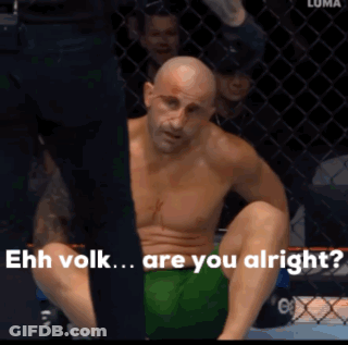 Stuffed Goose Walking Says Caleb Thinking He's Funny GIF