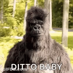 Stuffed Gorilla In Woods Ditto Baby GIF