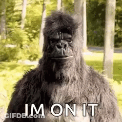 Stuffed Gorilla Saying Im On It GIF