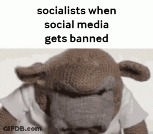 Stuffed Gorilla White Shirt Socialists When Social Media Gets Banned GIF