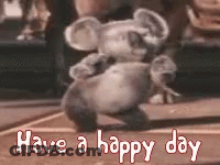 Stuffed Koala Bear Dancing Have A Happy Day GIF