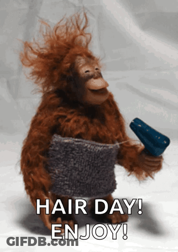 Stuffed Monkey Holding Hair Dryer And Towel GIF
