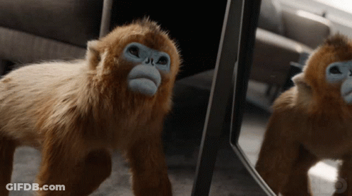 Stuffed Monkey In Front Of Mirror GIF