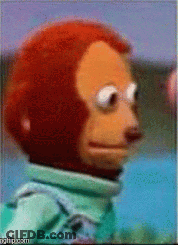 Stuffed Monkey In Green Jacket GIF