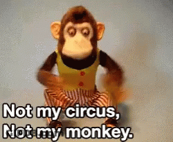 Stuffed Monkey Not My Circus Not My Monkey GIF