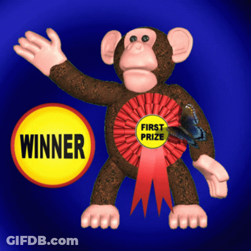 Stuffed Monkey With First Prize Ribbon GIF