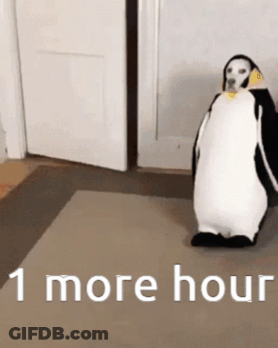 Stuffed Penguin At Door Saying I More Hour GIF