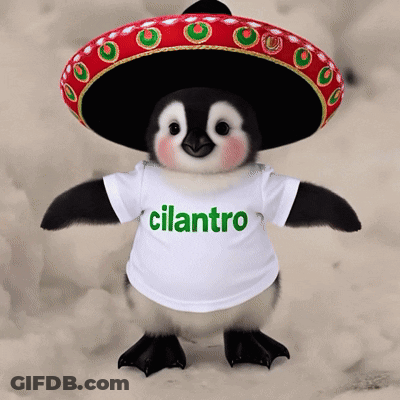 Stuffed Penguin In Sombrero And Cilantro Shirt GIF