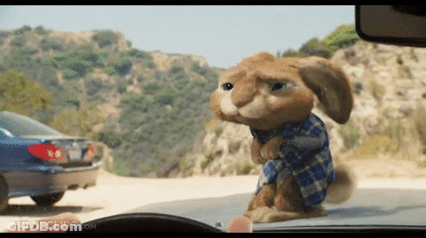 Stuffed Rabbit In Blue Plaid Shirt Standing In Front Of Car GIF