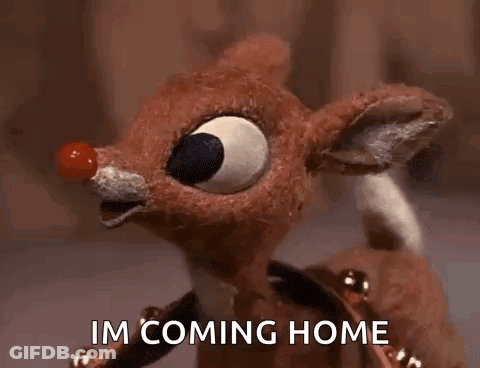 Stuffed Reindeer With Red Nose I M Coming Home GIF