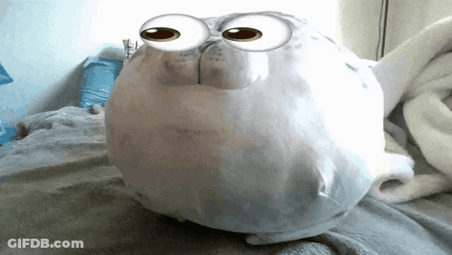 Stuffed Seal With Big Eyes GIF