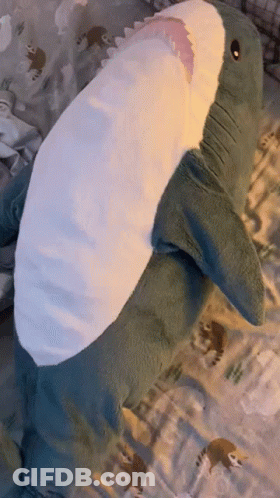 Stuffed Shark Laying On Bed GIF
