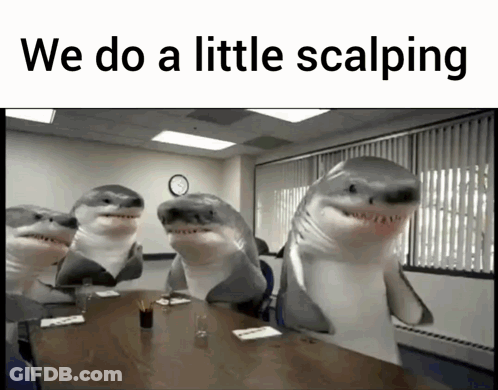 Stuffed Sharks Around Table We Do A Little Scalping GIF