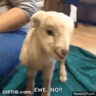Stuffed Sheep In Front Of Red Barn GIF