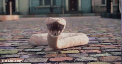 Stuffed Snake Laying On Cobblestone Street With Mouth Open GIF