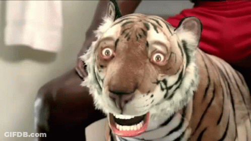 Stuffed Tiger Sitting On Couch With Mouth Open GIF