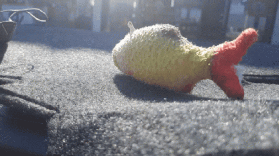 Stuffed Toy Fish Swimming GIF