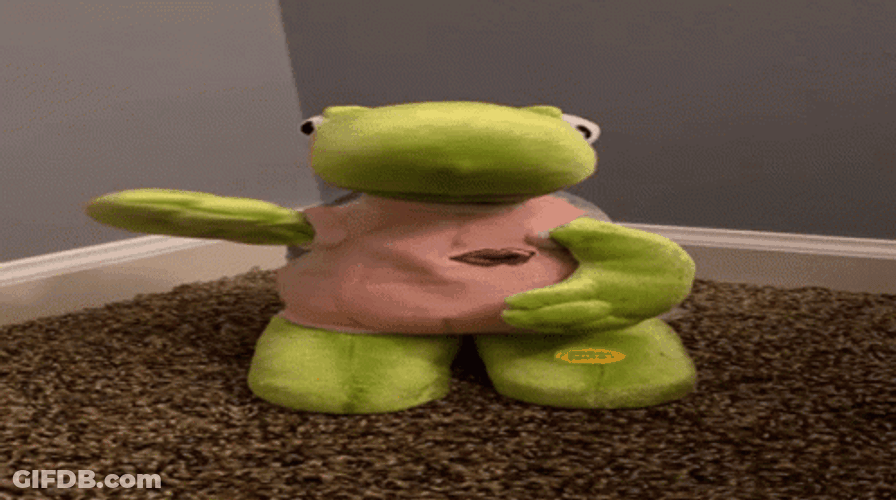 Stuffed Toy Turtle Dancing GIF