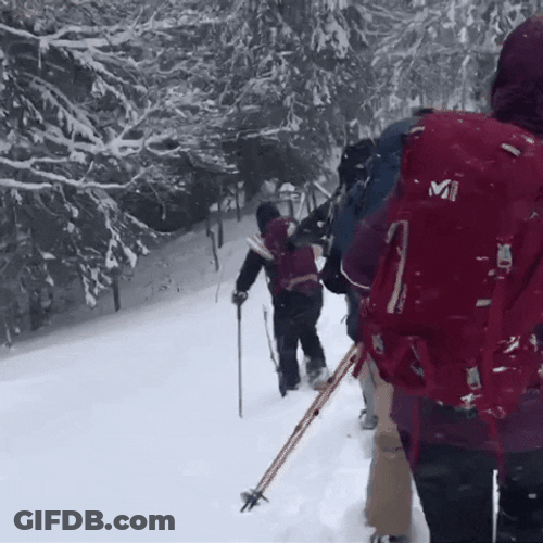 Stumbling On Ski Avalanche GIF