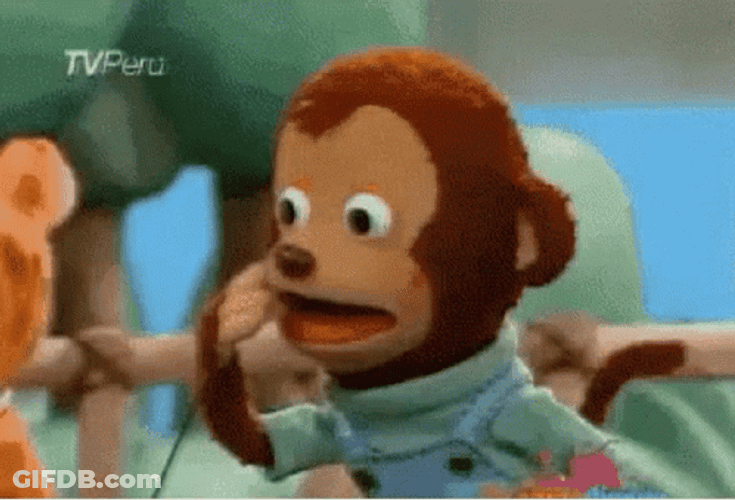 Stunned Monkey Funny Oh GIF
