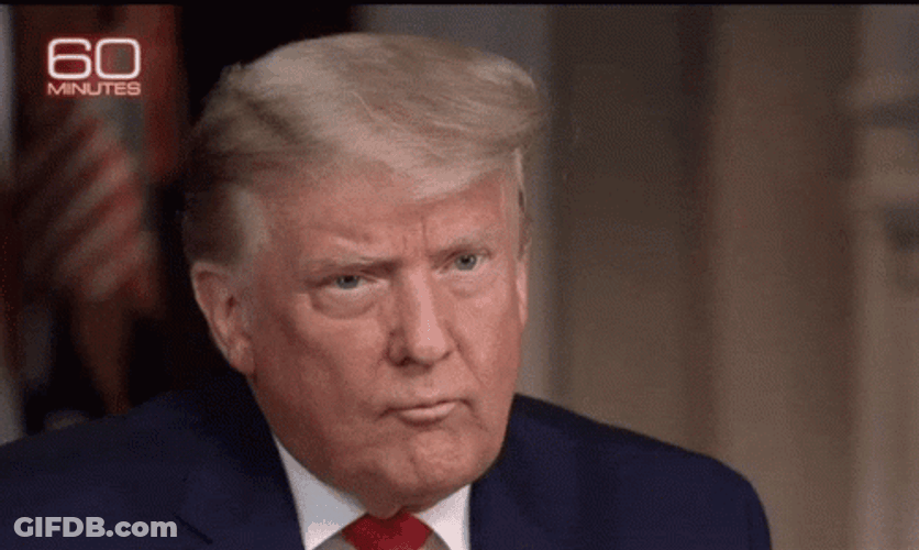 Stunned President Donald Trump GIF