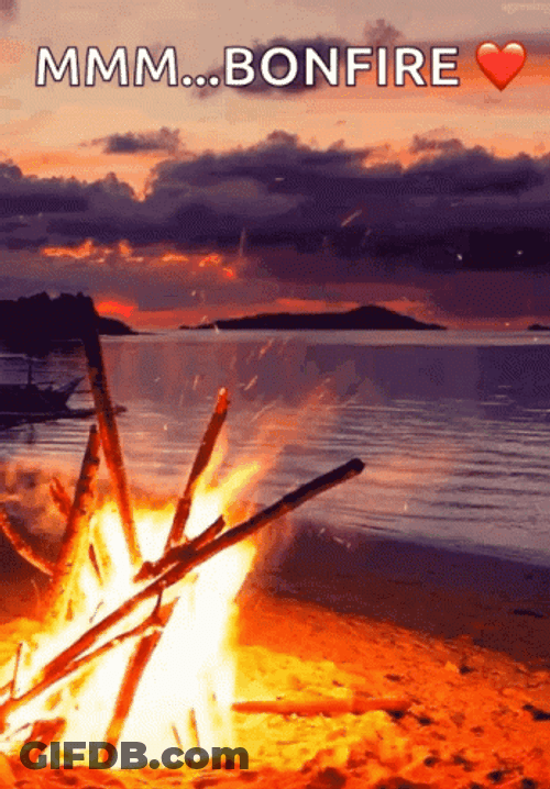 Stunning Campfire Bonfire Beach Sunset GIF