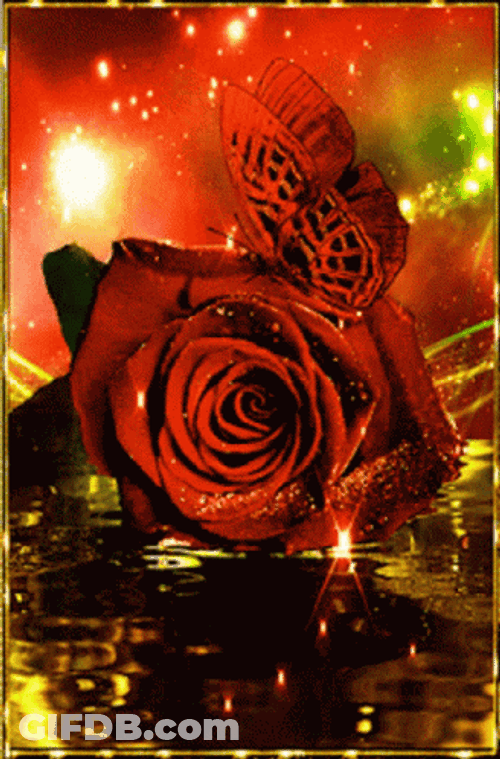 Stunning Glittery Red Roses GIF