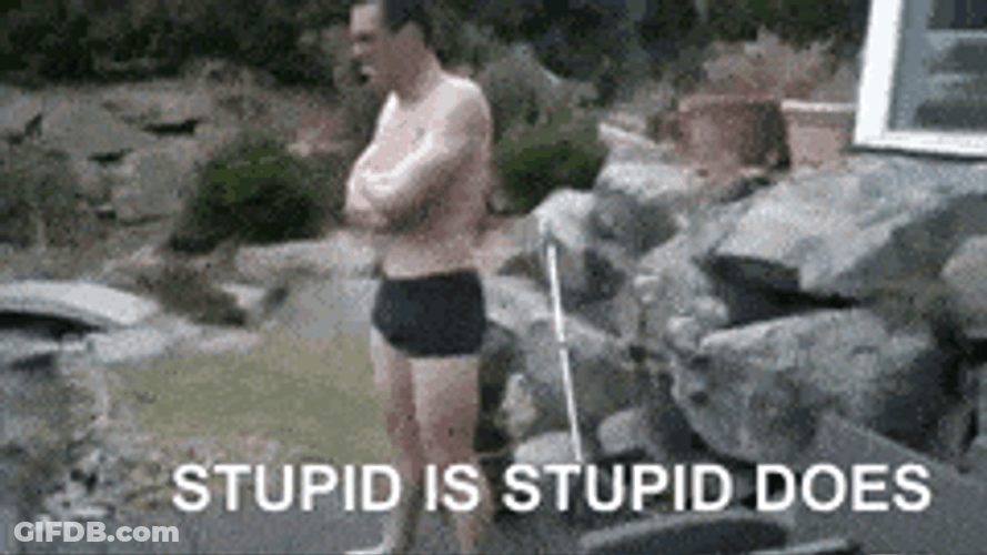 Stupid Is As Stupid Does Diving Man Fail GIF