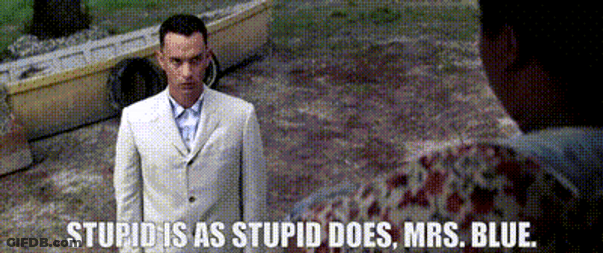 Stupid Is As Stupid Does Mrs. Blue GIF