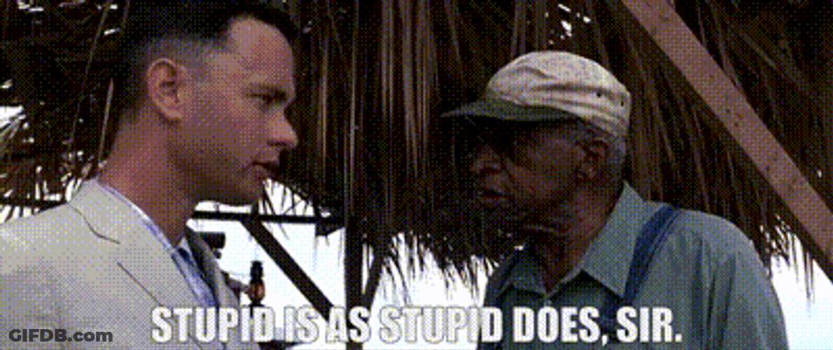 Stupid Is As Stupid Does Sir GIF