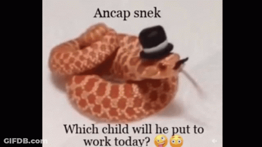 Stylist Snakes On A Plane GIF