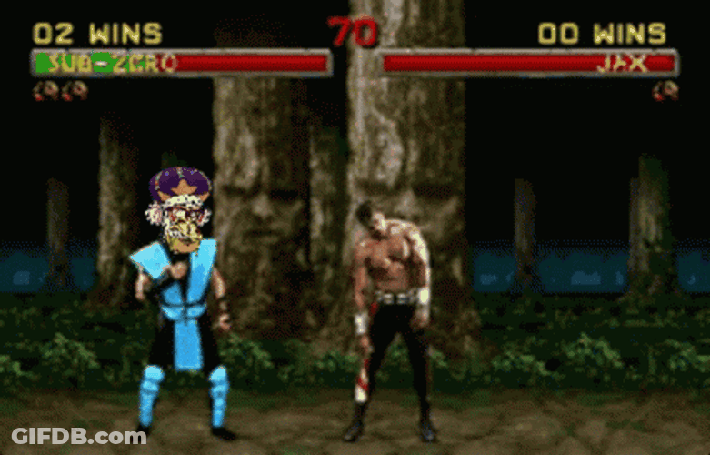 Sub Zero Fatality GIF