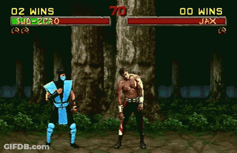 Sub Zero Wins Fatality GIF