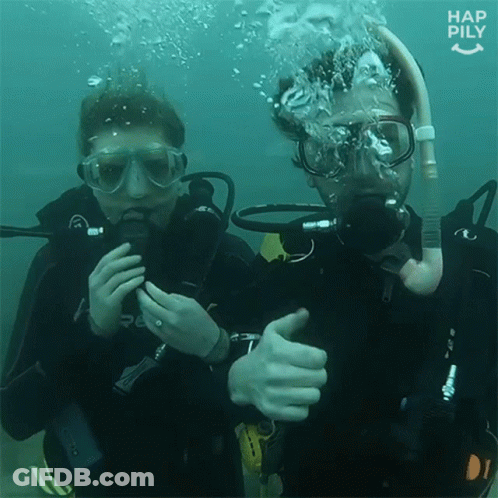 Suba Diving Thumbs Up GIF