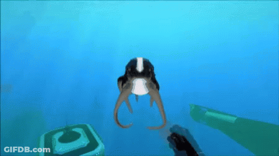 Subnautica Cuddle Fish Hand Command GIF