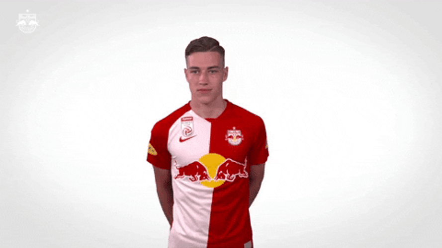 Success FC Red Bull Salzburg GIF