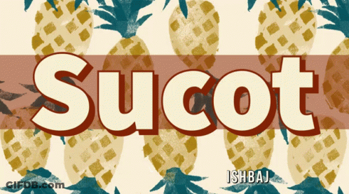 Sucot On Pineapple Background GIF