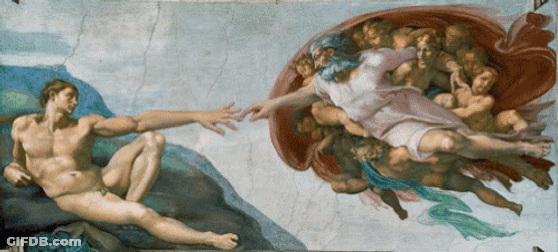 Suh Dude GIF