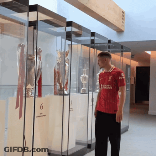 Suisse Vs Germany Soccer Game GIF