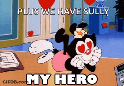 Sully Sitting On Table Saying My Hero GIF