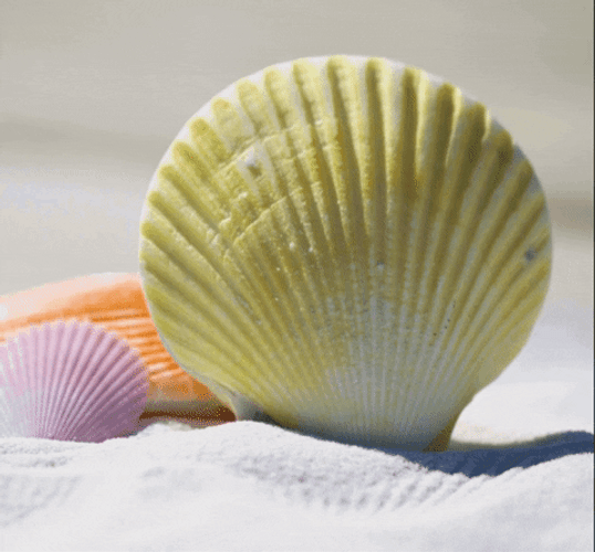 Summer August Happy Summer GIF