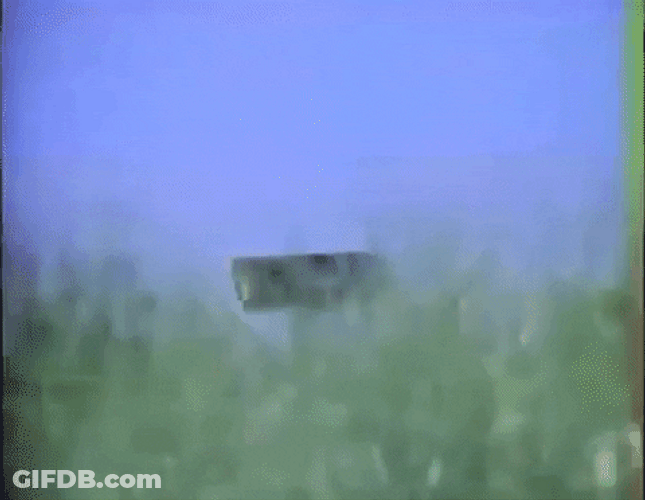 Summer Babe Vibes GIF
