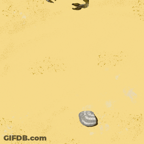 Summer Beach Crab Rave GIF