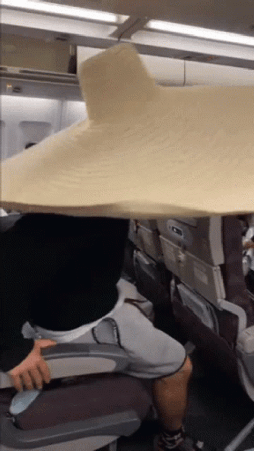 Summer Cap Hat Big Plane GIF