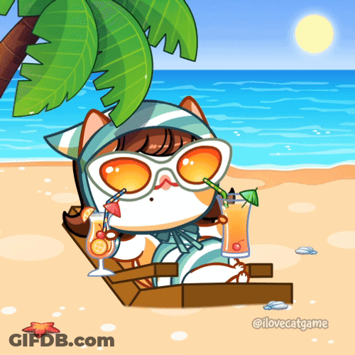Summer Time Cool Cat GIF