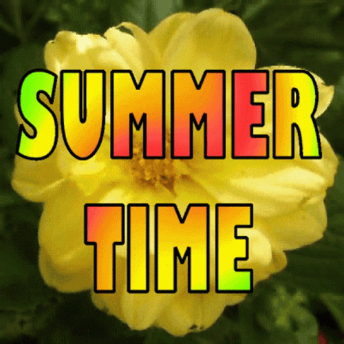 Summer Time Flower Sunshine GIF