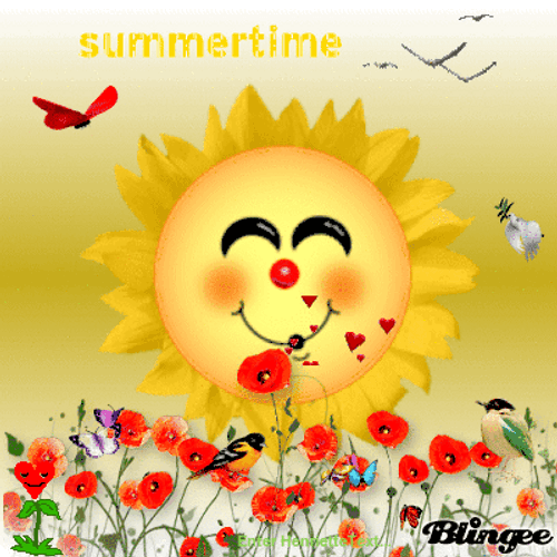 Summer Time With Beautiful Sun And Flower GIF