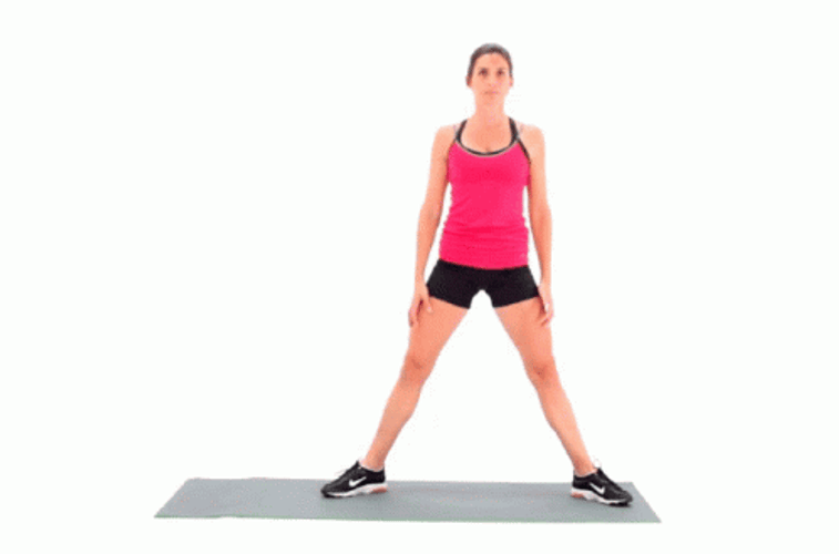 Sumo Squat Fitness Exercise GIF