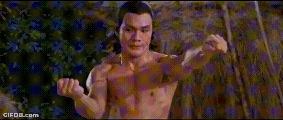 Sun Chien Martial Art Training GIF