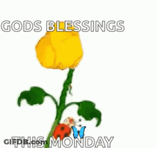 Sun-Filled Happy Day Monday Blessings GIF